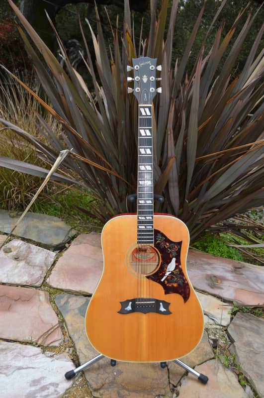 Gibson Dove 1975 Sunburst image 1