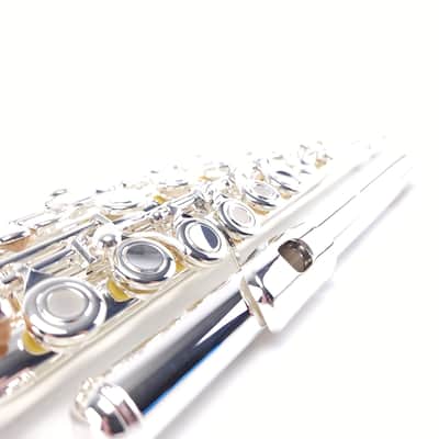 Di Zhao DZ 401 E Flute Open Hole B Foot Split E Silver Lip Intermediate NEW image 4