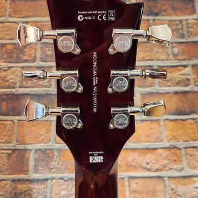 ESP LTD EC-256 FM Jatoba Fretboard Dark Brown Sunburst w/ OHSC image 14
