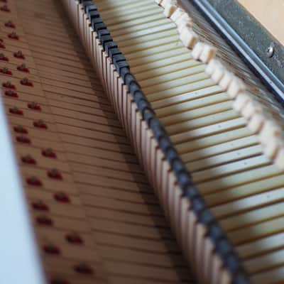 Rhodes Mark I Stage 88-Key Electric Piano 1975 - 1979 - Black Rounded Top image 8