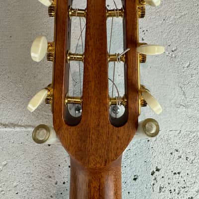 Altamira M30 with gig bag image 5