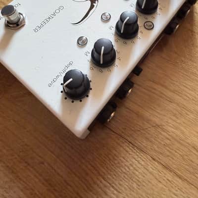 Immagine Lightfoot Labs Goatkeeper 2010s - White tremolo sequencer polyrhytmic - 4