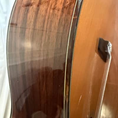 Furch GNc 4-CR Nylon Cedar / Indian Rosewood with LR Baggs EAS image 12