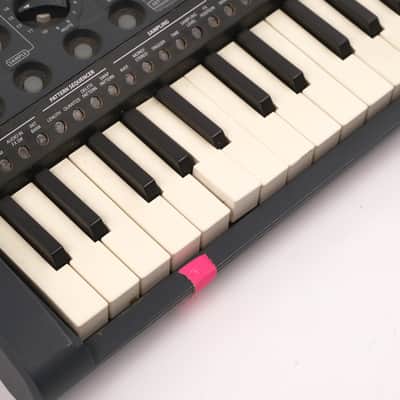 Korg Micro Sampler Owned by Liars image 4