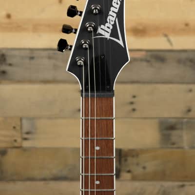 Ibanez RG RG421S Electric Guitar Sea Shore Matte image 6