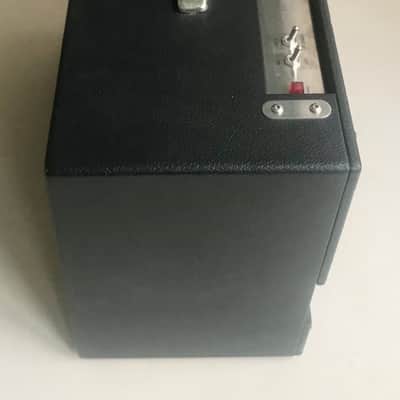 Allessandro Working Dog: Doberman 40 watt Combo image 3
