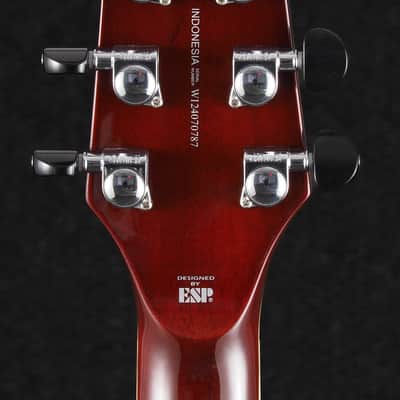 ESP LTD TL-6 2024 - Charcoal Burst image 12
