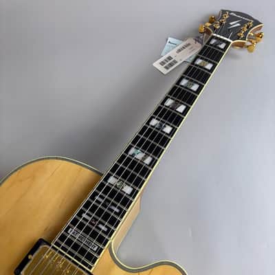 Ibanez PM200 2025 image 3