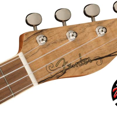 FENDER - Zuma Exotic Concert Ukulele Spalted Maple 0970450594 image 3