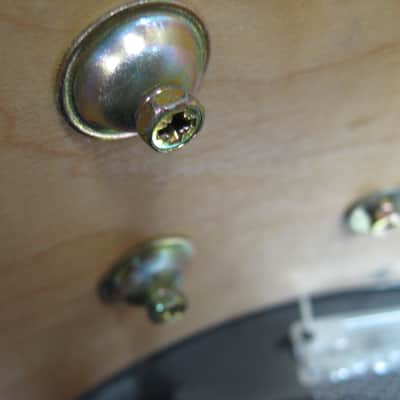Premier 5.5X14" Signia Maple Snare Drum (Lot293-3-313) 2000's - Maple image 9