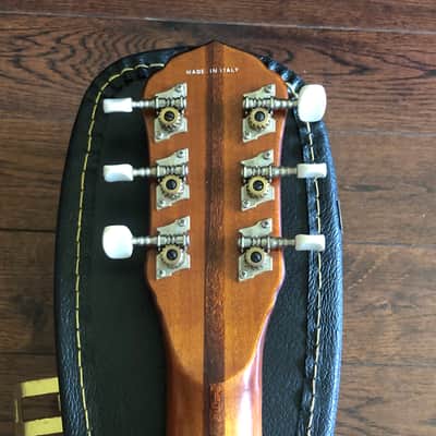 Eko Banjo Guitar Banjitar Made In Italy image 7