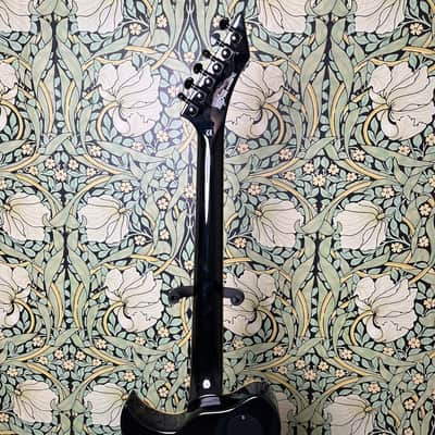 Washburn Idol WI-50V 2008 Bild 13