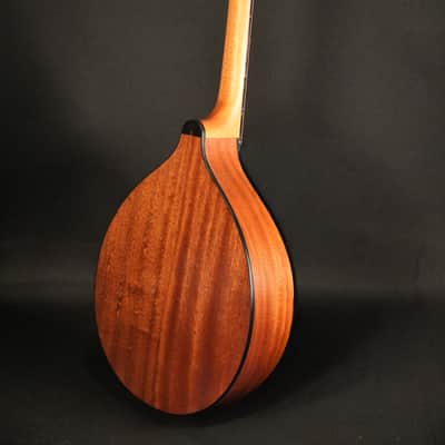 Stevens Mandola “Medieval” Mahogany 2026 - Natural image 5