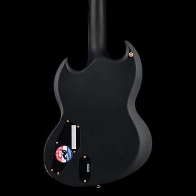 LTD Viper-1000 - Vintage Black #22335 (Factory Demonstration Model) image 4