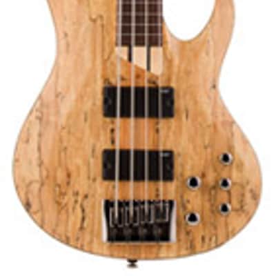 ESP LTD B204 Fretless Electric Bass Guitar Natural Satin image 1