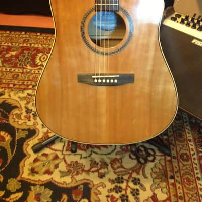 Seagull 25th Anniversary CW Flame Maple EQ Acoustic-Electric Guitar image 1
