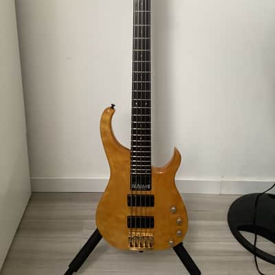 Modulus Quantum Q 5 1991 image 1