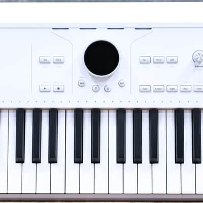 Arturia AstroLab 61 Avant-Garde Stage Keyboard 61-Note Semi-Weighted Keyboard image 6