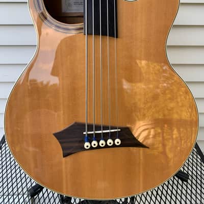 Warwick Rockbass Alien Standard Fretless Acoustic Bass 5 String image 2