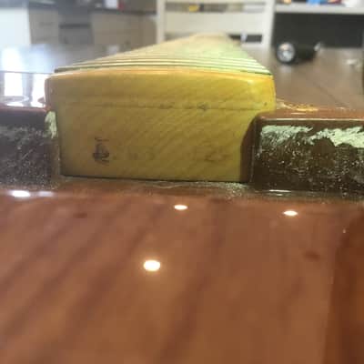 Fender Telecaster Thinline 1973 - 1978 - Walnut (Mocha) image 20