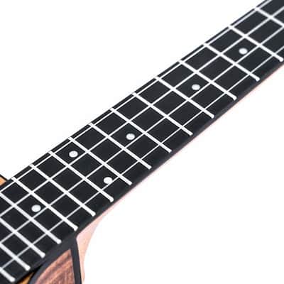 Twisted Wood Switchback Concert Ukulele - Solid Koa Top - SW‑700C image 4
