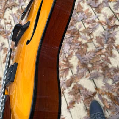 Tim Bram Tribute thinline archtop custom built image 7