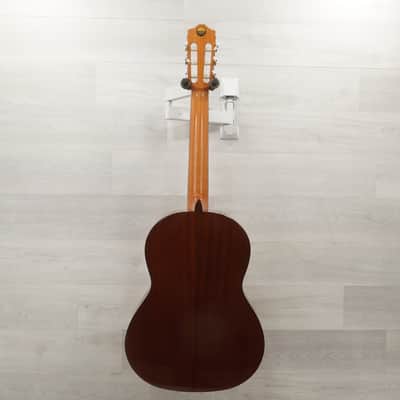 Used Cordoba DOLCE Solid Top Acoustic Guitar Natural image 6