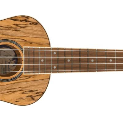 Fender Zuma Exotic Concert Ukulele Walnut FB Spalted Maple image 1