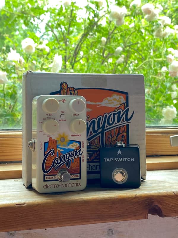 Electro-Harmonix Canyon