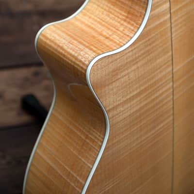 Immagine Taylor 614ce - Solid Maple / Spruce / Ebony - 16