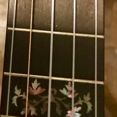 FARLAND Artist's Grand Number 2 Five String Banjo SALE PENDING DO NOT BUY image 6