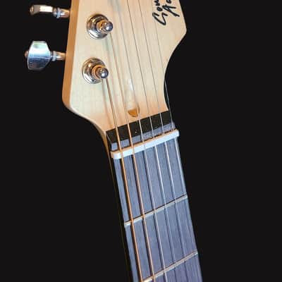 Southwest Acoustics Blue Tigerstipe Stratocaster/New//Full Setup image 4