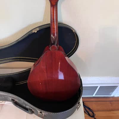 Montana ELM 100 A-Style Mandolin by Kaman Music Corporation — Made in Romania — w/ Hard Case image 9