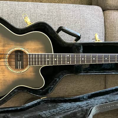 Ibanez AEB10E-DVS Standard - Dark Violin Sunburst High Gloss image 2
