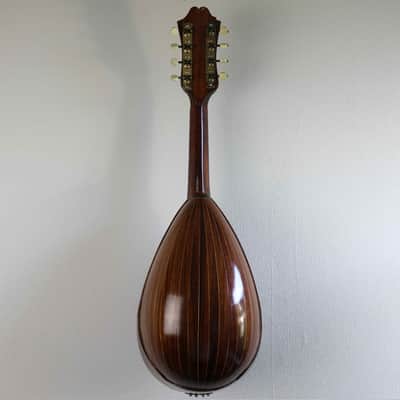 Giuseppe Indelicato Contarino Neapolitan Mandolin - c. 1910 - Made in Catania, Italy image 11