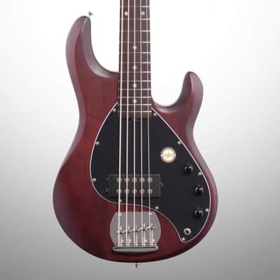 Sterling by Music Man Ray5 StingRay 5-String Electric Bass, Walnut Satin image 1