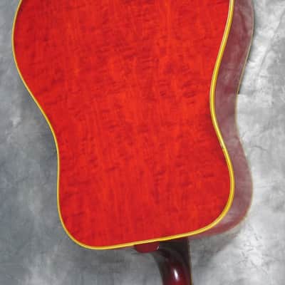 Alvarez 5025 ( Dove ) 68-69 Rosewood/spruce image 16