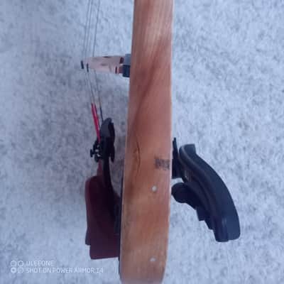 Canadian Eviolin Electric pro 5 strings Violin violon haute gamme image 17