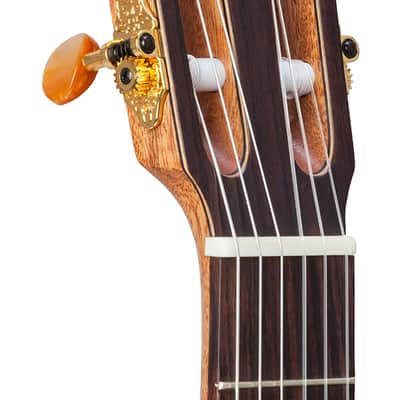Kremona Sofia SC-T - All Solid, Cedar top, West African sapele back/sides - Kremona Hardshell Case image 4