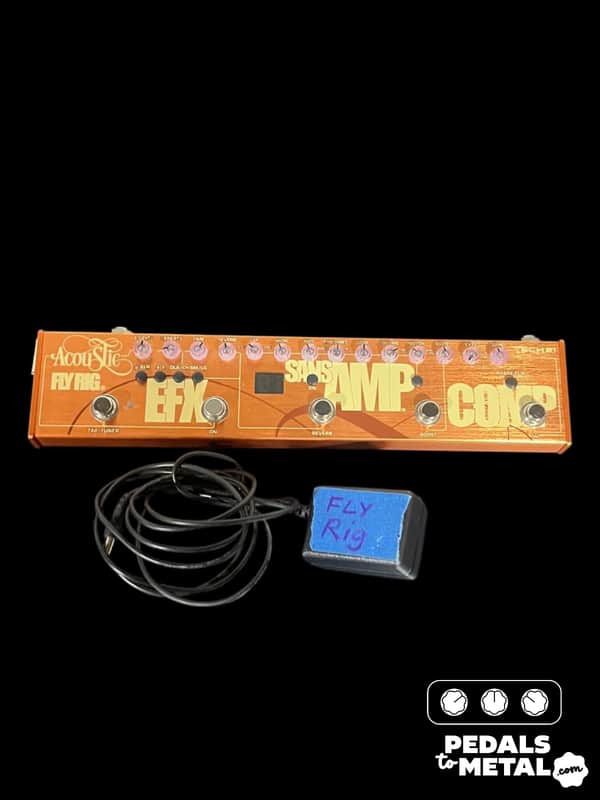 Tech 21 Acoustic Fly Rig