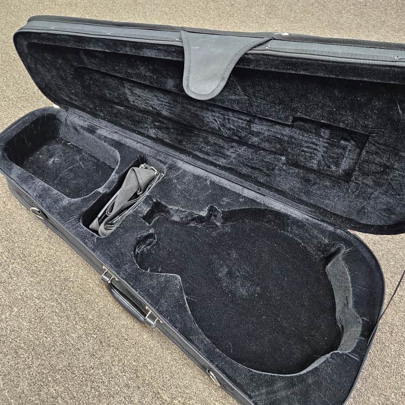 GoldTone Mandolin Guitar Hard / Soft Case - Black - Nice ! image 1