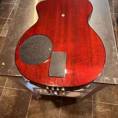 Rick Turner Model One Deluxe CP Bass 2018 image 8