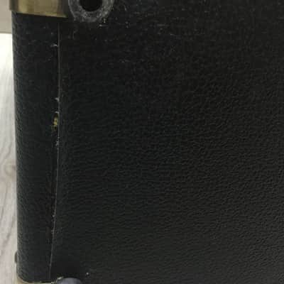 Peavey Ecoustic e20 image 13