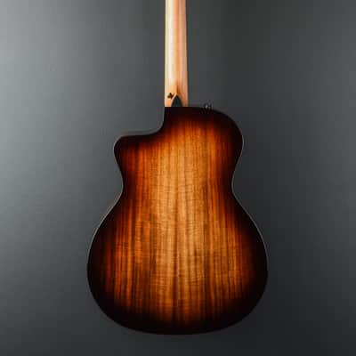 Immagine Taylor USED 214CE-K SB Plus '26 - 5