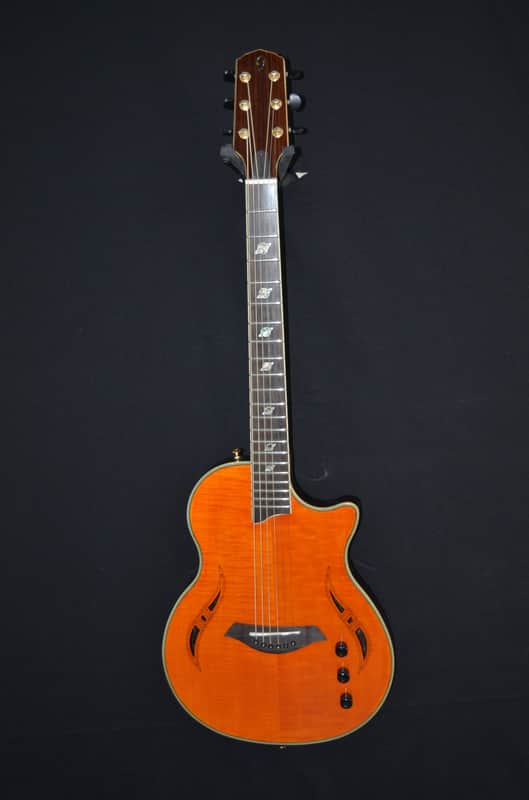 Giannini Nashlyn-A Amber image 1