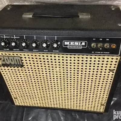 Aidean Mesia Zoom 100w Valve Amp (Japanese Mesa Boogie | Reverb Sweden