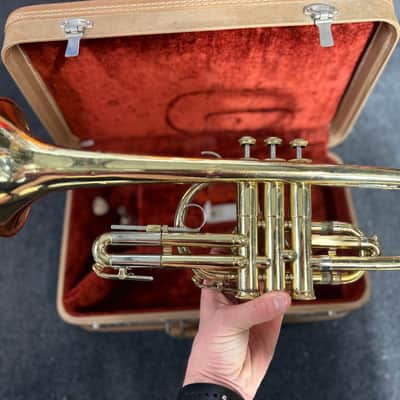 Holton Collegiate Cornet Brass with Case image 3
