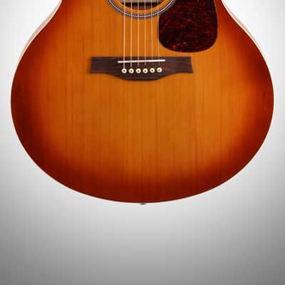 Seagull Entourage Mini Jumbo Acoustic Guitar, Rustic image 3