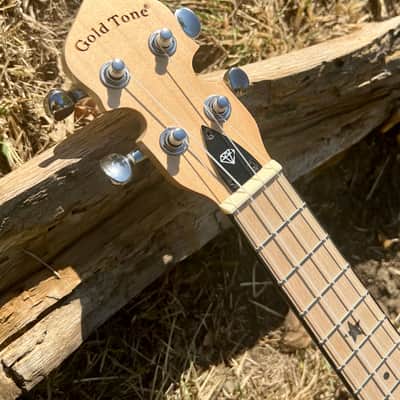 Gold Tone Little Gem Diamond Banjo Ukulele 2020’s - Clear image 10