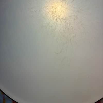 20” Remo Legacy LA W/Reemlar (2-Count) image 3
